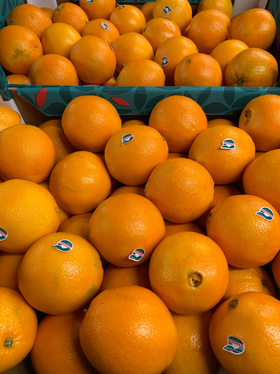 Large oranges