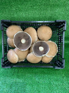 Portobello mushrooms - 2.5kg