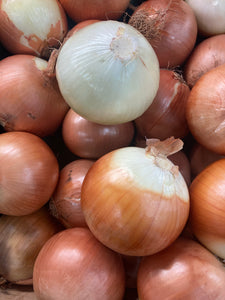 Spanish large onions