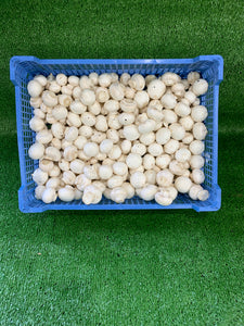 Button mushrooms - 2.5kg