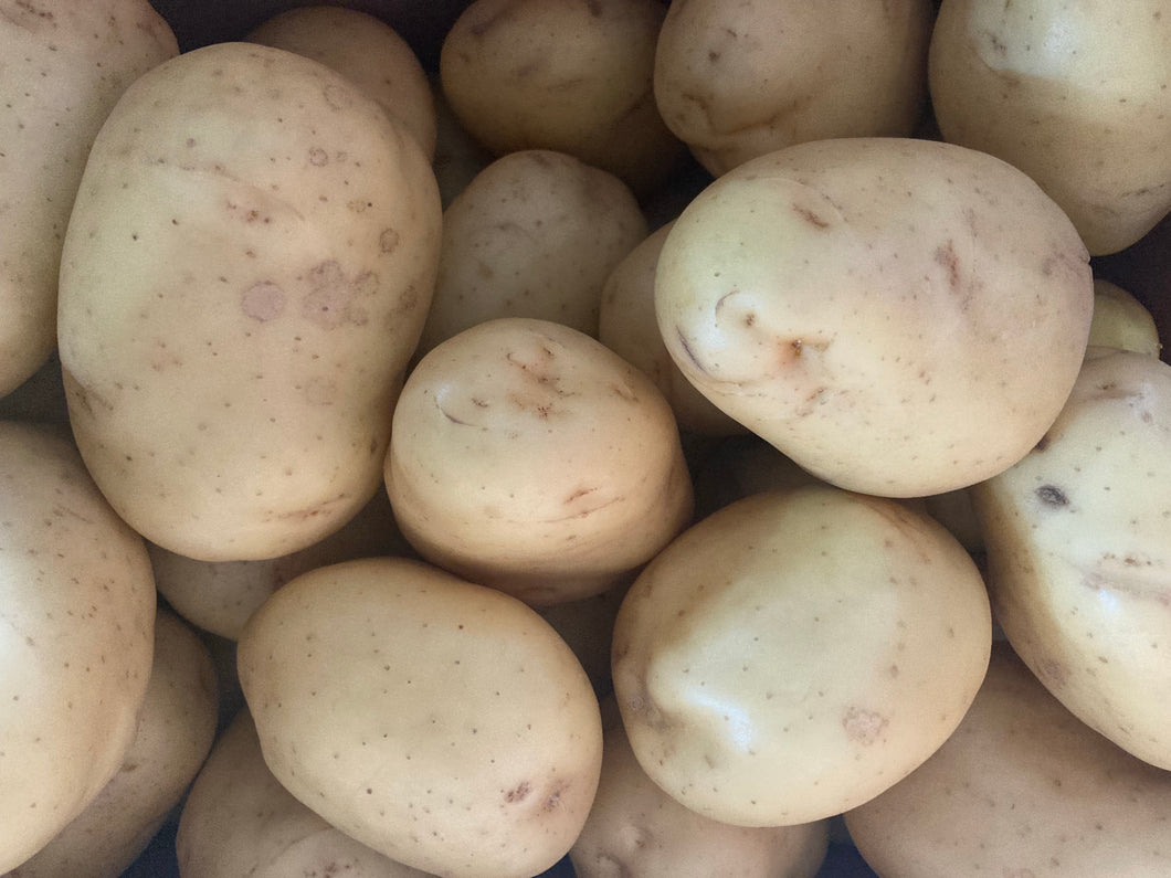Jacket potatoes (washed) - 40 potatoes