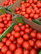 Tomatoes loose (Class 2) - 5kg - 6kg