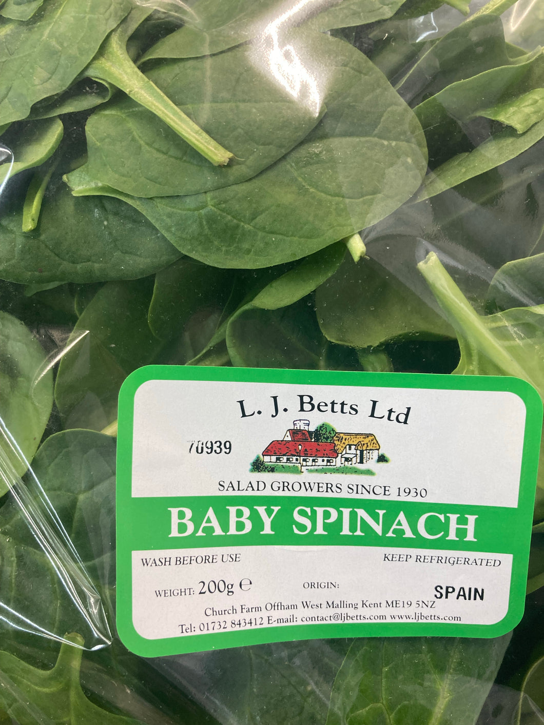 Baby spinach