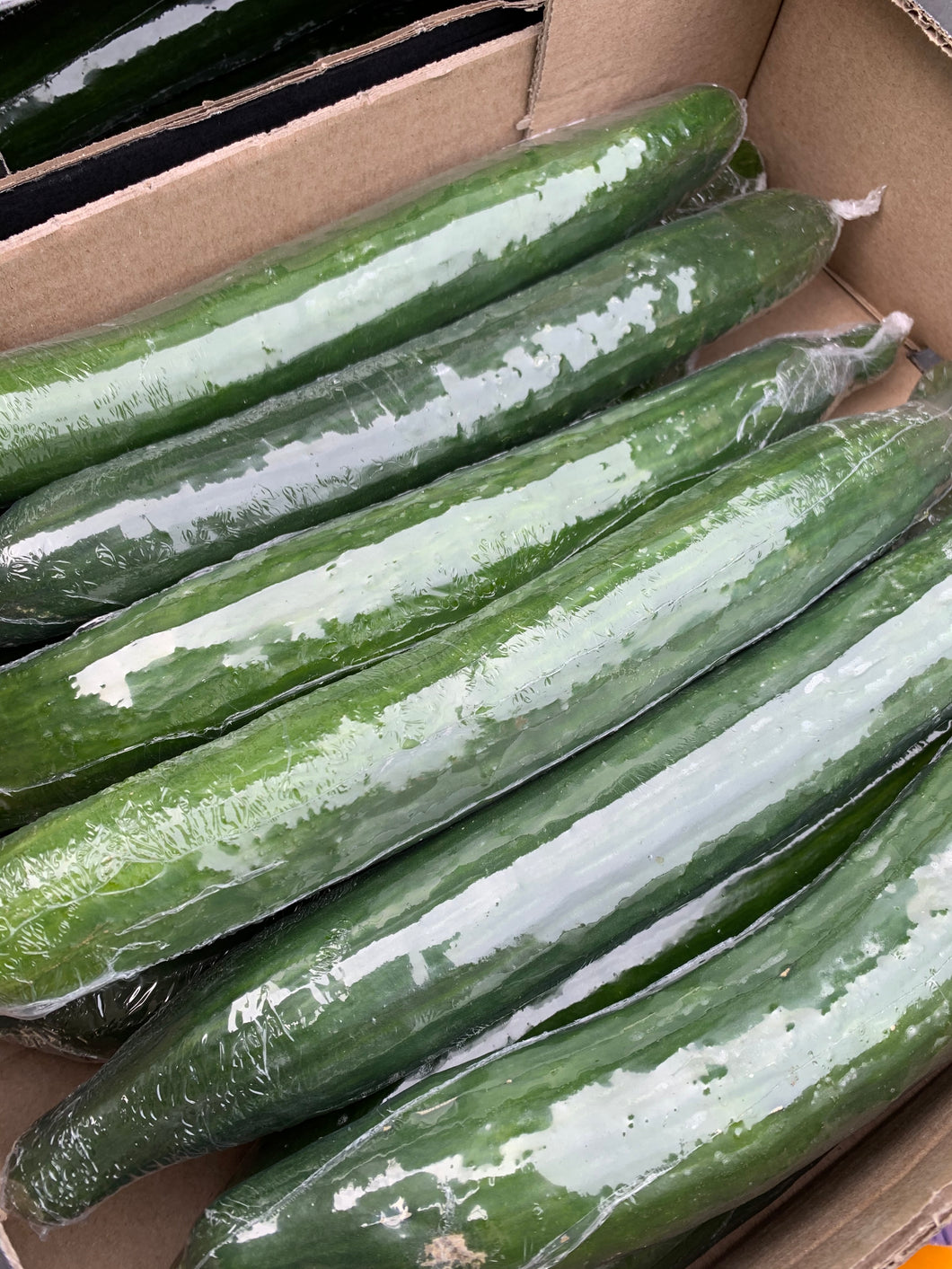 Cucumbers (Class 2) x 12