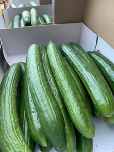 Cucumbers (Class 2) x 12