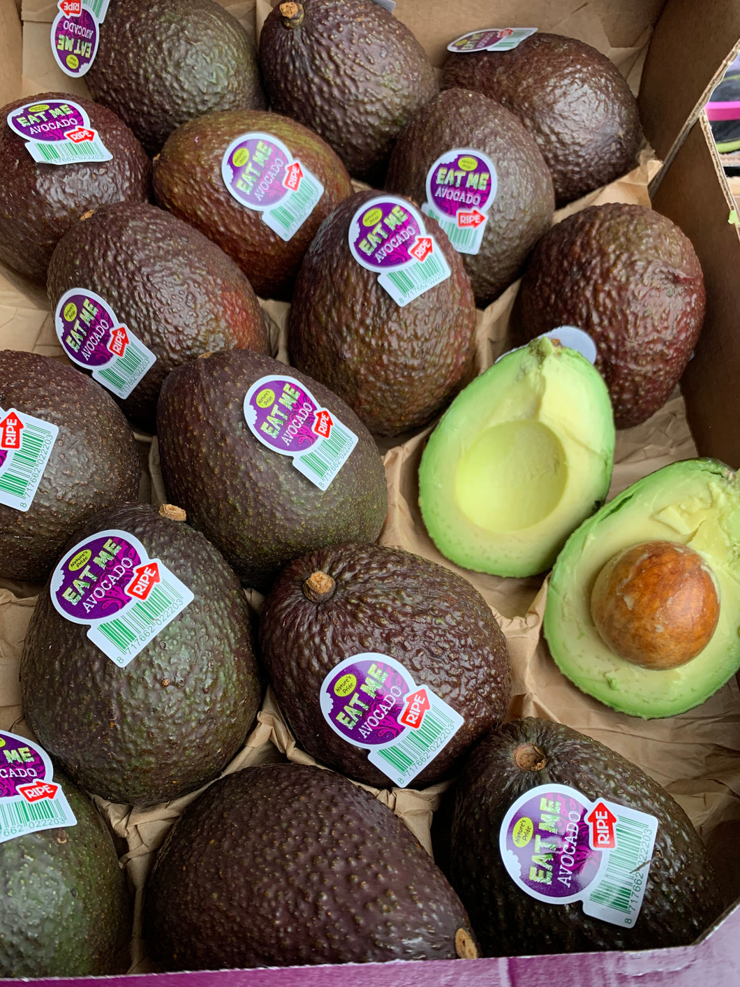 Hass avocado - Each